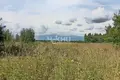 Land 2 000 m² Gorodetsky District, Russia