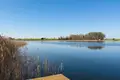 Land 3 977 m² Klecko, Poland