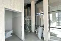 Офис 48 м² в Минске, Беларусь