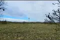 Mieszkanie 1 111 m² Kiekrz, Polska