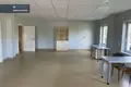 Коммерческое помещение 2 119 м² в Алитусе, Литва