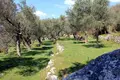 Atterrir  Bar, Monténégro