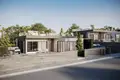 Villa 4 chambres 194 m² Tala, Chypre