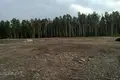 Atterrir 10 000 m² Olaines pagasts, Lettonie