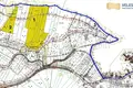 Девелоперский проект