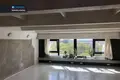 Commercial property 130 m² in Vilnius, Lithuania