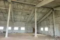 Warehouse 600 m² in Cervien, Belarus