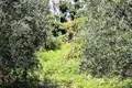 Atterrir 1 chambre  Dafnáta, Grèce