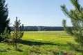 Дом  Боровской сельский Совет, Беларусь