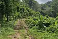 Atterrir  Karon, Thaïlande