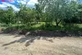 Land  Plukiai, Lithuania