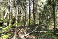 Atterrir  municipalnyj okrug Istra, Russie
