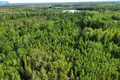 Działki  Petrauskai, Litwa