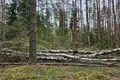 Atterrir  Grabijolai, Lituanie