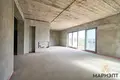 Cottage 199 m² Cnianka, Belarus