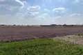 Квартира 10 800 м² Равич, Польша