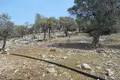 Parcelas  Skala Kallirachis, Grecia