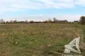 Grundstück  Turna Vialikaja, Belarus
