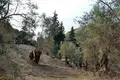 Земельные участки 1 комната  Пелекас, Греция