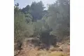 Land 10 756 m² Opcina Vela Luka, Croatia