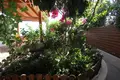 Apartment 40 sq.m. in Marathon, Aegina with unlimited sea view