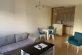 Apartamento 1 habitacion 462 m² Montenegro, Montenegro
