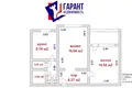 2 room apartment 55 m² Minsk, Belarus