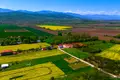 Дом 4 комнаты 181 м² Zlatitrap, Болгария