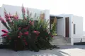 Willa Four bedroom villas + two bedroom apartment on the beach.