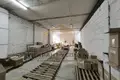 Produktion 1 145 m² in Kobryn, Belarus