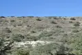 Land  Monagrouli, Cyprus