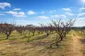 Atterrir 5 400 m² Nea Triglia, Grèce