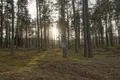 Земельные участки 20 000 м² Рига, Латвия