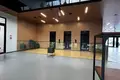 Propiedad comercial 300 m² en Varsovia, Polonia