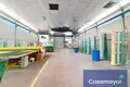 Warehouse 1 008 m² in Alicante, Spain