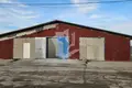 Manufacture 3 rooms 600 m² in Aronava Slabada, Belarus