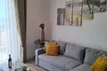 Mieszkanie 2 pokoi 54 m² w Radovici, Czarnogóra