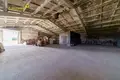Производство 1 комната 500 м² в Логойском сельском Совете, Беларусь