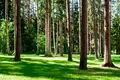 Земельные участки  муниципальный округ Истра, Россия