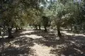 Atterrir 1 chambre  Episkopi, Grèce