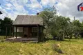 Haus 22 m² Nieharelski sielski Saviet, Belarus