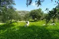 Land  Drapanos, Greece