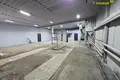 Propiedad comercial 222 m² en Minsk, Belarús