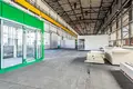 Tienda 2 030 m² en Rogozno, Polonia