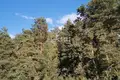 Дом 194 м² городской округ Бор, Россия