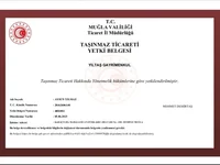 Skan licencji