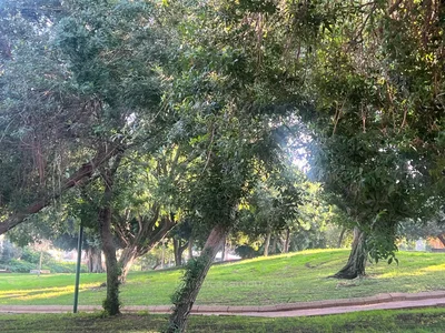 Quartier résidentiel Affaire.  prevoir renovation complete. superbe location.