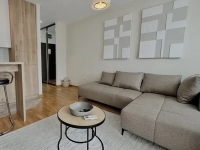 Wohnviertel Stan 30 m² na Izdavanje – Zagorič, Podgorica