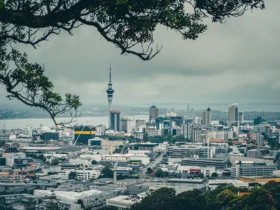 New Zealand is experiencing a sharp decline in housing demand and prices. Current Market Analysis