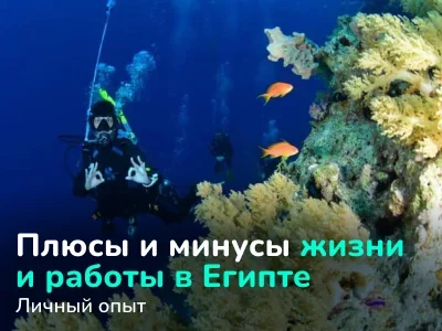 «Получить ПМЖ в Египте практически нереально». Инструктор по дайвингу о жизни в Хургаде, ценах и безопасности